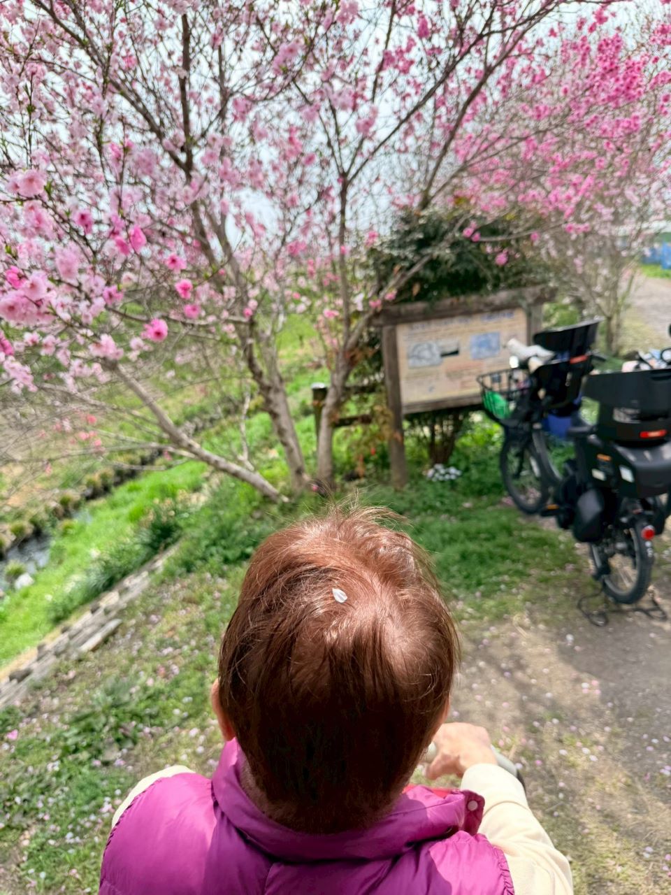 LINE_ALBUM_ブログ掲載5_260404_4