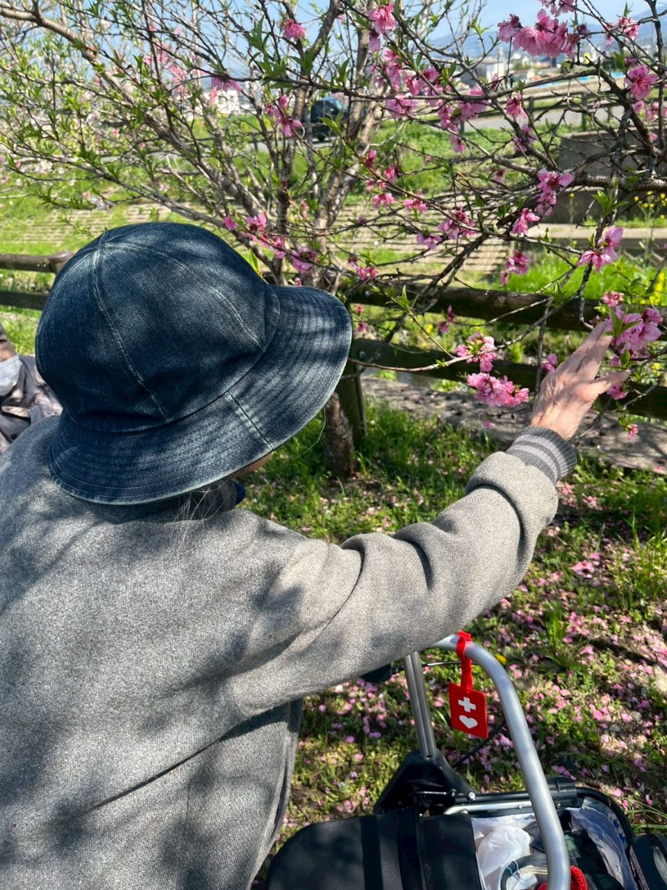 LINE_ALBUM_ブログ掲載5_260404_5