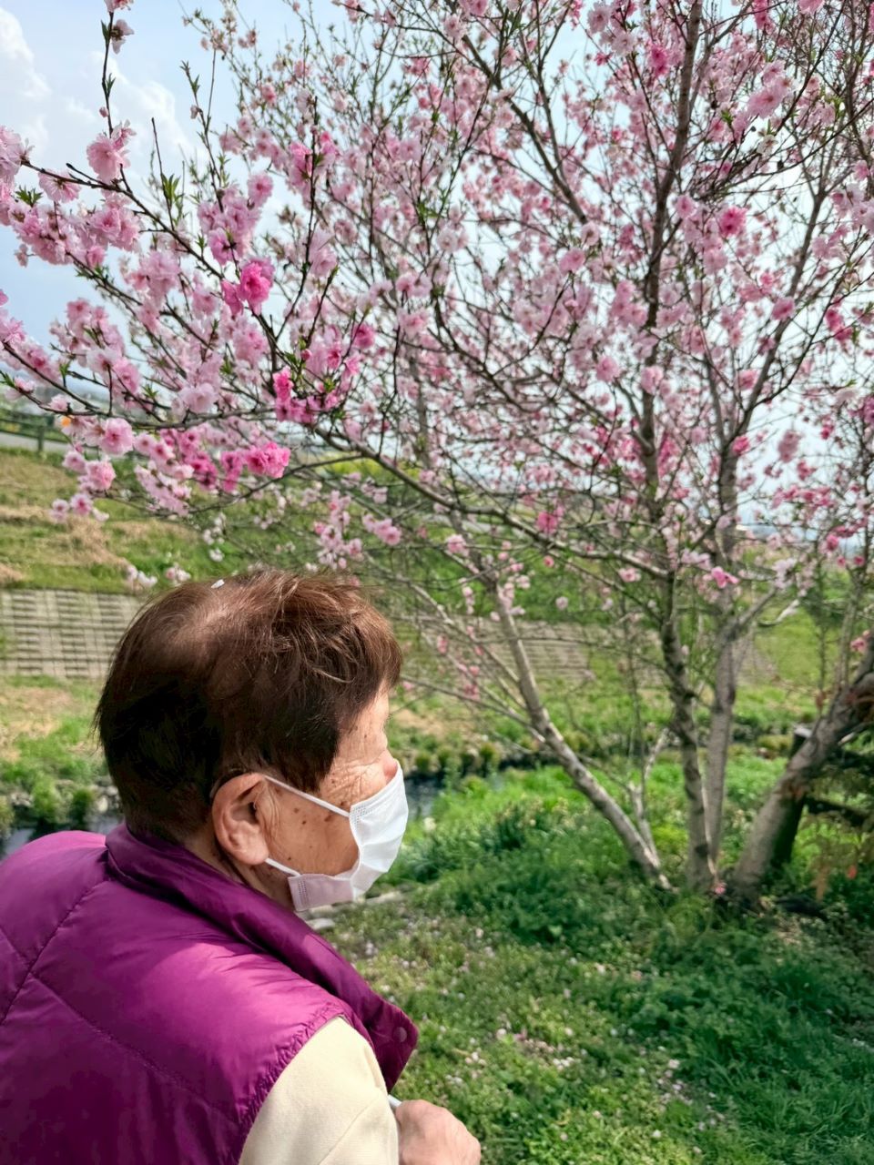 LINE_ALBUM_ブログ掲載5_260404_2