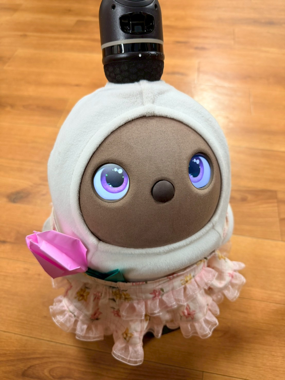 LINE_ALBUM_ブログ掲載5_260416_2