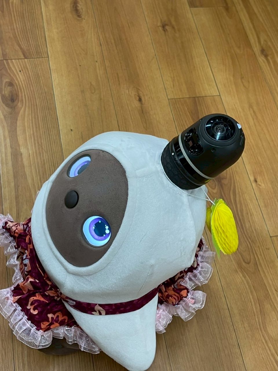 LINE_ALBUM_ブログ掲載写真2_250710_1